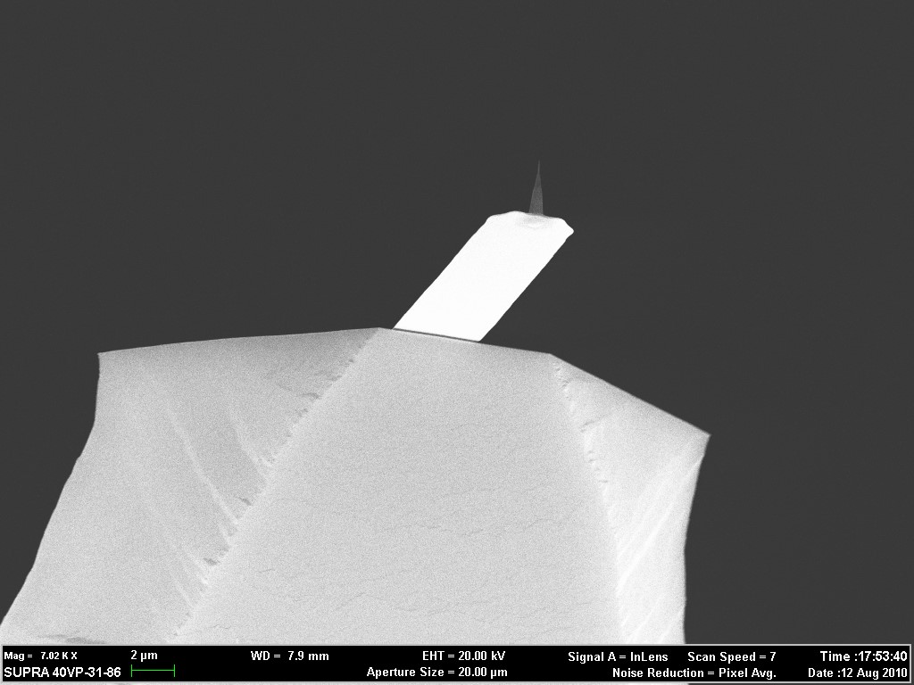 Ultra-Short Silicon Nitride AFM Cantilevers NANOSENSORS™ Special Developments List (SDL)